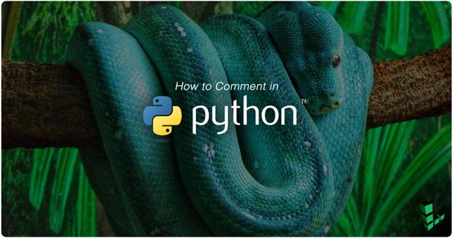 Python.jpg