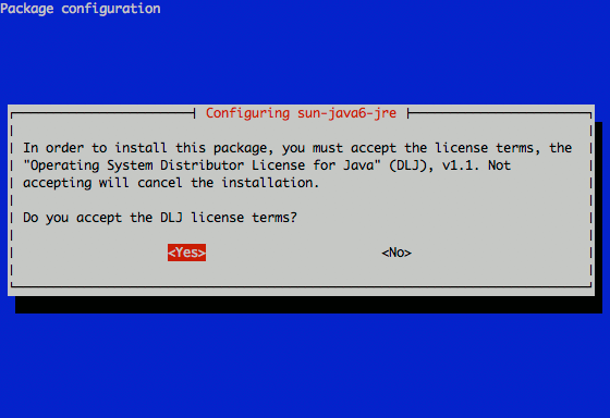 Accepting the Sun Java 6 JDK license.